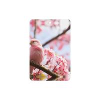 Poezjzw Cherry Blossom And Bird Pattern Car Air Fresheners 6 Pcs Rectangle Hanging Aromatherapy Tablets Scented Fresheners For Bedroom Closet Shoe