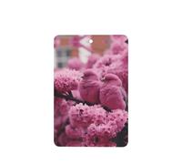Poezjzw Cherry Blossom And Tits Pattern Car Air Fresheners 4 Pcs Rectangle Hanging Aromatherapy Tablets Scented Fresheners For Bedroom Closet Shoe