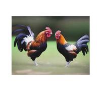 POEZJZW Chicken with Crossed Eyes Pattern Flannel Blanket 60"X50" Bed Blankets for Sofa Bed Couch, Movie Night, Camping, and Travel