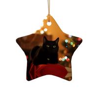 Poezjzw Christmas Black Cat Pattern Ceramic Star Shape Christmas Tree Ornaments, Family New Year Home Souvenirs For Gatherings