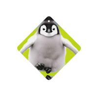 Poezjzw Chubby Penguin Pattern Car Air Fresheners 4 Pcs Square Hanging Aromatherapy Tablets Scented Fresheners For Bedroom Closet Shoe