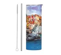 POEZJZW Cinque Terre Scenery 20 Oz Insulated Stainless Steel, Coffee Cup with Lid and Straw, Double Wall Vacuum Travel Mug Leakproof Cup