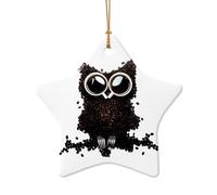 Poezjzw Coffee Bean Owl Pattern Christmas Star Shape Ceramic Ornaments Christmas Tree Hanging Home Decoration Gatherings Souvenirs