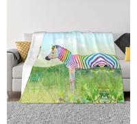 POEZJZW Colorful Zebra Pattern Fashion Flannel Bed Blanket Cozy Blanket Soft And Warm Sofa Bedroom Blanket 80"X60"