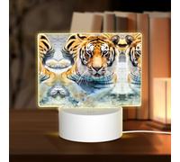 POEZJZW Cool Tiger Pattern Rectangular Acrylic Night Light Touch Switch Accent for Bookshelves Desks Nightstands