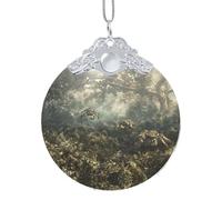 Poezjzw Crab At The Bottom Of The Lake Pattern Glass Christmas Ornament Round Hanging Pendant Gifts For Xmas Holidays Ornaments Home Decor Silver Metal Buckle