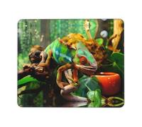 Poezjzw Cute Chameleon Pattern Mouse Pad Office Laptop Computer Desk Wireless Mouse Non Slip Rubber Base Washable 10 X 12 Inch Keyboard Pad