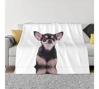 POEZJZW Cute Chihuahua Pattern Blanket Super Soft Flanne Warm Blanket Bed Sofa Living Room Film 80"X60"