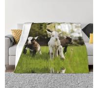 POEZJZW Cute Goat Pattern Blanket Super Soft Flanne Warm Blanket Bed Sofa Living Room Film 80"X60"