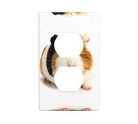 Poezjzw Cute Guinea Pig Pattern Light Switch Cover Outlet Cover Duplex Outlet Decorative Wall Plate Decorative Wall Plate Size 4.5x2.76 Inch