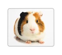 POEZJZW Cute Guinea Pig Textured Mouse Pad, Rubberized Locking Edge Anti-Slip Mouse Pad For Office Gaming Computer Laptop 10 X 12 Inch