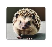 POEZJZW Cute Hedgehog Pattern Mouse Pad Non-Slip Rubber Stitched Edges Waterproof Gaming Mouse Mat for Desk Gaming Work Wireless Mice 7.9 X 9.5 in
