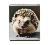 POEZJZW Cute Hedgehog Pattern Mouse Pad, Portable Office Non-Slip Rubber Base Wireless Mouse Pad for Office Laptop Computer Pc 7.9 X 9.5 in