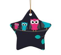 Poezjzw Cute Owls Pattern Ceramic Star Shape Christmas Tree Ornaments, Family New Year Home Souvenirs For Gatherings