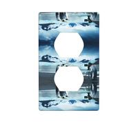 Poezjzw Cute Penguins Taking Pictures Pattern Wall Plateoutlet Cover, Decorative Wall Plate Size 4.5x2.76 in for Residential and Commercial Areas