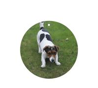 Poezjzw Dogs Playing On The Lawn Pattern Car Air Fresheners 6 Pcs Round Shape Hanging Aromatherapy Tablets Scented Fresheners For Bedroom Closet Shoe