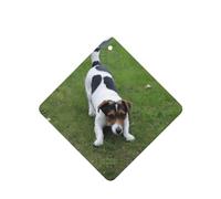Poezjzw Dogs Playing On The Lawn Pattern Car Air Fresheners 6 Pcs Square Hanging Aromatherapy Tablets Scented Fresheners For Bedroom Closet Shoe