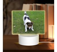 POEZJZW Dogs Playing On The Lawn Pattern Rectangular Acrylic Night Light Touch Switch Accent for Bookshelves Desks Nightstands