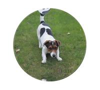 POEZJZW Dogs Playing On The Lawn Pattern Round Mouse Pad, Non-Slip Rubber Base Small Mouse Pad, Suitable For Games, Computer Laptop, 7.9x7.9 Inches.