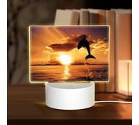 POEZJZW Dolphin at Dusk Pattern Rectangular Acrylic Night Light Touch Switch Accent for Bookshelves Desks Nightstands