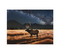 POEZJZW Elk in The Meadow Pattern Flannel Blanket Lightweight and Comfortable Ultra-Soft Warm Micro Fleece Bed Couch Living Room 50"X40"