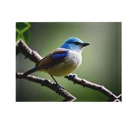 POEZJZW Ethereal Nightingale Bird Pattern Flannel Blanket Lightweight and Comfortable Ultra-Soft Warm Micro Fleece Bed Couch Living Room 60"X50"