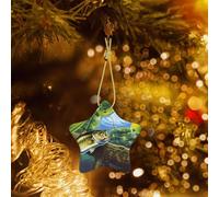 Poezjzw Fishing Bass Fish Pattern Christmas Star Ceramic Ornaments Christmas Tree Hanging Home Decoration Gatherings Souvenirs