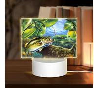 POEZJZW Fishing Bass Fish Pattern Led Lamp Base Night Light Acrylic USB 3 Mode for Room Cafe Bar Birthday Party