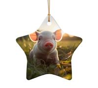 Poezjzw Fragrant Pig Pattern Christmas Tree Star Shape Ceramic Ornament Hanging Decorations for Home Holiday Party Gift