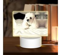 POEZJZW French Poodle Pattern Rectangular Acrylic Night Light Touch Switch Accent for Bookshelves Desks Nightstands