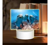 POEZJZW Funny Dolphin Looking at You Pattern Rectangular Acrylic Night Light Touch Switch Accent for Bookshelves Desks Nightstands