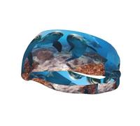 Poezjzw Funny Dolphin Looking At You Pattern Sports Headband Suitable For Running Yoga Elasticated Moisture Wicking Hairband