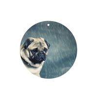 Poezjzw Funny Pug Dog Pattern Car Air Fresheners 6 Pcs Round Shape Hanging Aromatherapy Tablets Scented Fresheners For Bedroom Closet Shoe