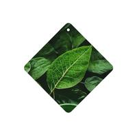 Poezjzw Green Nature Pattern Car Air Fresheners 4 Pcs Square Hanging Aromatherapy Tablets Scented Fresheners For Bedroom Bathroom