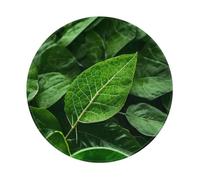 POEZJZW Green Nature Pattern Round Mouse Pad Desktop Protection Mat with Non-Slip Rubber Base 7.9Ã-7.9 in for Home and Office