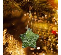 Poezjzw Greens And Flowers Pattern Ceramic Christmas Ornament Star Hanging Pendant Gifts For Xmas Holidays, Ornaments For Home Decor