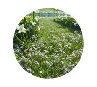 POEZJZW Greens And Flowers Pattern Round Mouse Mat, Cute Mouse Pad, Non-Slip Rubber Base With Stitched Edge, Small Size 7.9 X 7.9 Inch