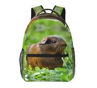 POEZJZW Guinea Pig Grass Pattern Lightweight Student Backpack,Laptop Travel Backpack For Girls,Boys,Work College Gifts,Casual Daypacks