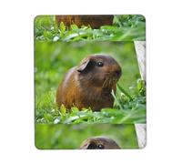 Poezjzw Guinea Pig Grass Pattern Mouse Pad Office Laptop Computer Desk Wireless Mouse Non Slip Rubber Base Washable 8.3 X 10.3 in Keyboard Pad