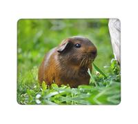Poezjzw Guinea Pig Grass Pattern Mouse Pad Office Laptop Computer Desk Wireless Mouse Non Slip Rubber Base Washable 10 X 12 Inch Keyboard Pad