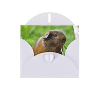 POEZJZW Guinea Pig Grass Patterned Pearl Paper Blank Greeting Card Suitable For Birthday Wedding Party Invitation With White Envelope