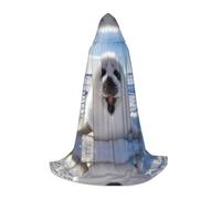 POEZJZW Harp Seal Painting Wallpaper Pattern Teenager Hooded Cloak Cloak Women Men Halloween Costume Masquerade Cosplay Costume Christmas Party Robe M