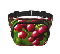 Poezjzw Hawthorn Travel Waist Bag Suitable For Running, Cycling And Outdoor Adventures, Store Mobile Phones And Credit Cards, Black, One Size