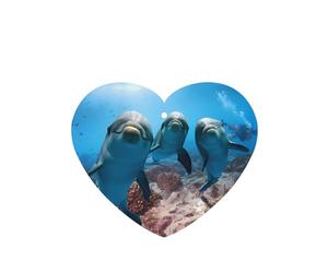 Poezjzw Heart Shape Lavender Scent Car Air Fresheners Funny Dolphin Looking At You Pattern 4 Pcs Aromatherapy Tablets For Wardrobe Shoe Cabinet Eliminate