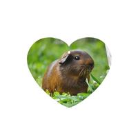 Poezjzw Heart Shape Lavender Scent Car Air Fresheners Guinea Pig Grass Pattern 6 Pcs Aromatherapy Tablets For Wardrobe Shoe Cabinet Eliminate
