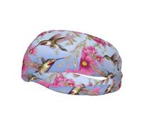 Poezjzw Humming Birds With Pink Pattern Sports Headband Suitable For Running Yoga Elasticated Moisture Wicking Hairband