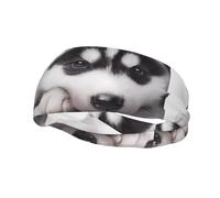 Poezjzw Husky Dog Pattern Sports Headband Suitable For Running Yoga Running Cycling Elastic Moisture Band