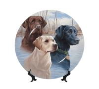POEZJZW Labrador Dogs Pattern Bone China Decorative Plate Dinner Plates Crafts Perfect Decoration for Home Office and Coffee Shop 10in