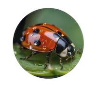 POEZJZW Ladybird Pattern Round Mouse Pad Desktop Protection Mat with Non-Slip Rubber Base 7.9Ã-7.9 in for Home and Office