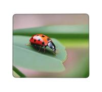 POEZJZW Ladybug On Plant Pattern Mouse Pad Non-Slip Rubber Stitched Edges Waterproof Gaming Mouse Mat for Desk Gaming Work Wireless Mice 7 X 8.6 in